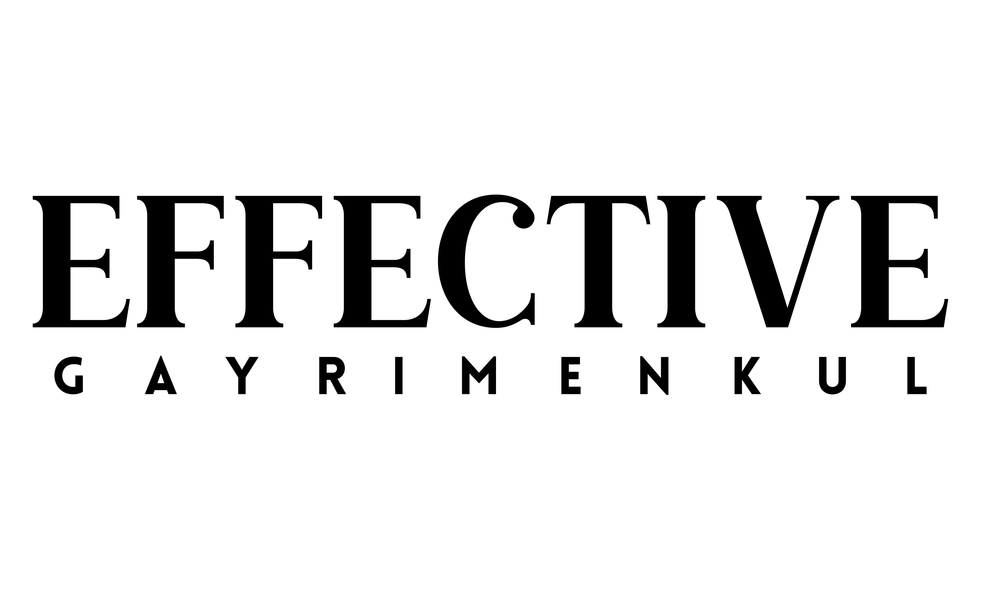 Effective Gayrimenkul